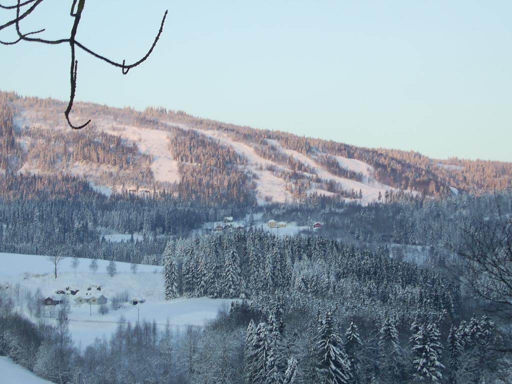 Sogn Gjestegard Svarstad  ห้อง รูปภาพ