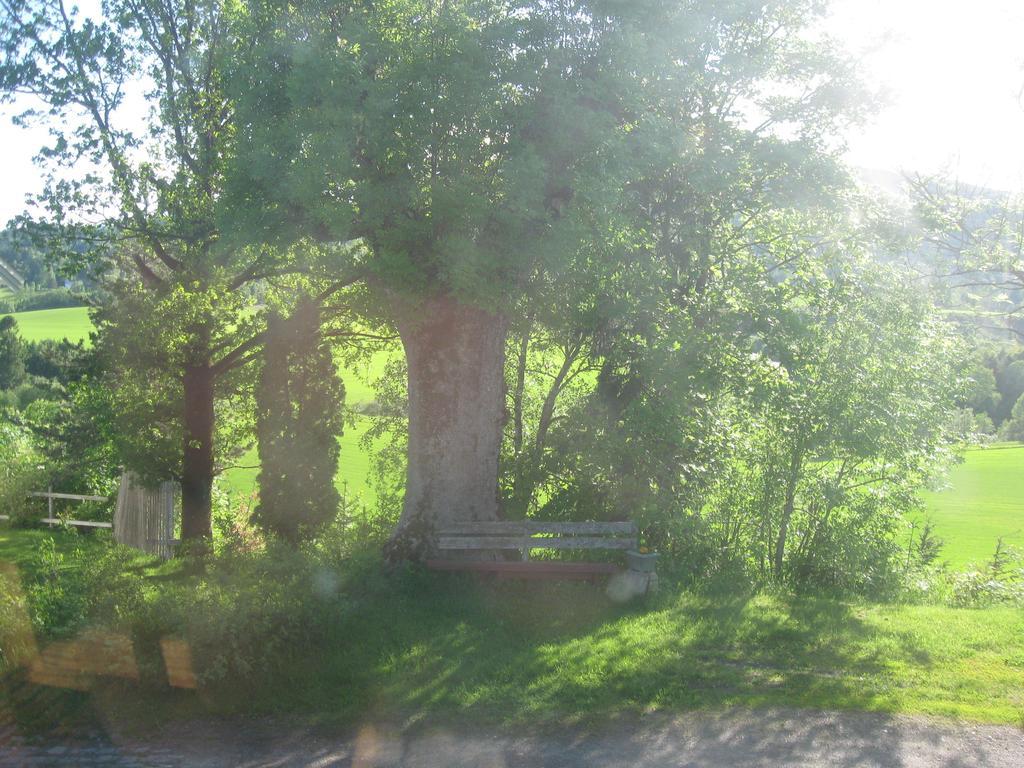 Sogn Gjestegard Svarstad  ห้อง รูปภาพ